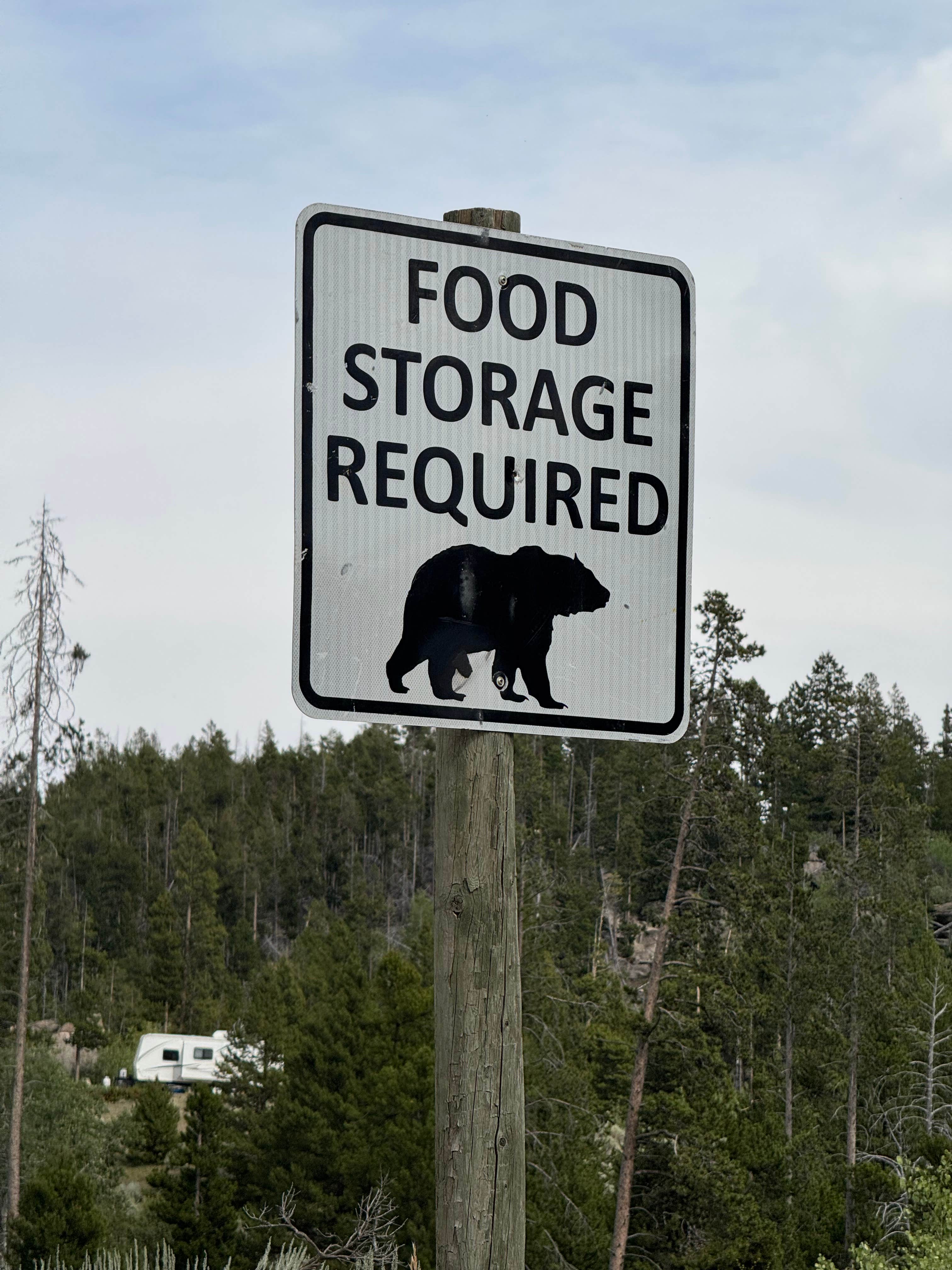 Camper submitted image from Homestake Pass Dispersed - 2