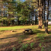 Review photo of Thomas Point Beach and Campground by Gary G., July 31, 2019