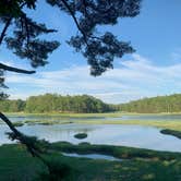 Review photo of Thomas Point Beach and Campground by Gary G., July 31, 2019