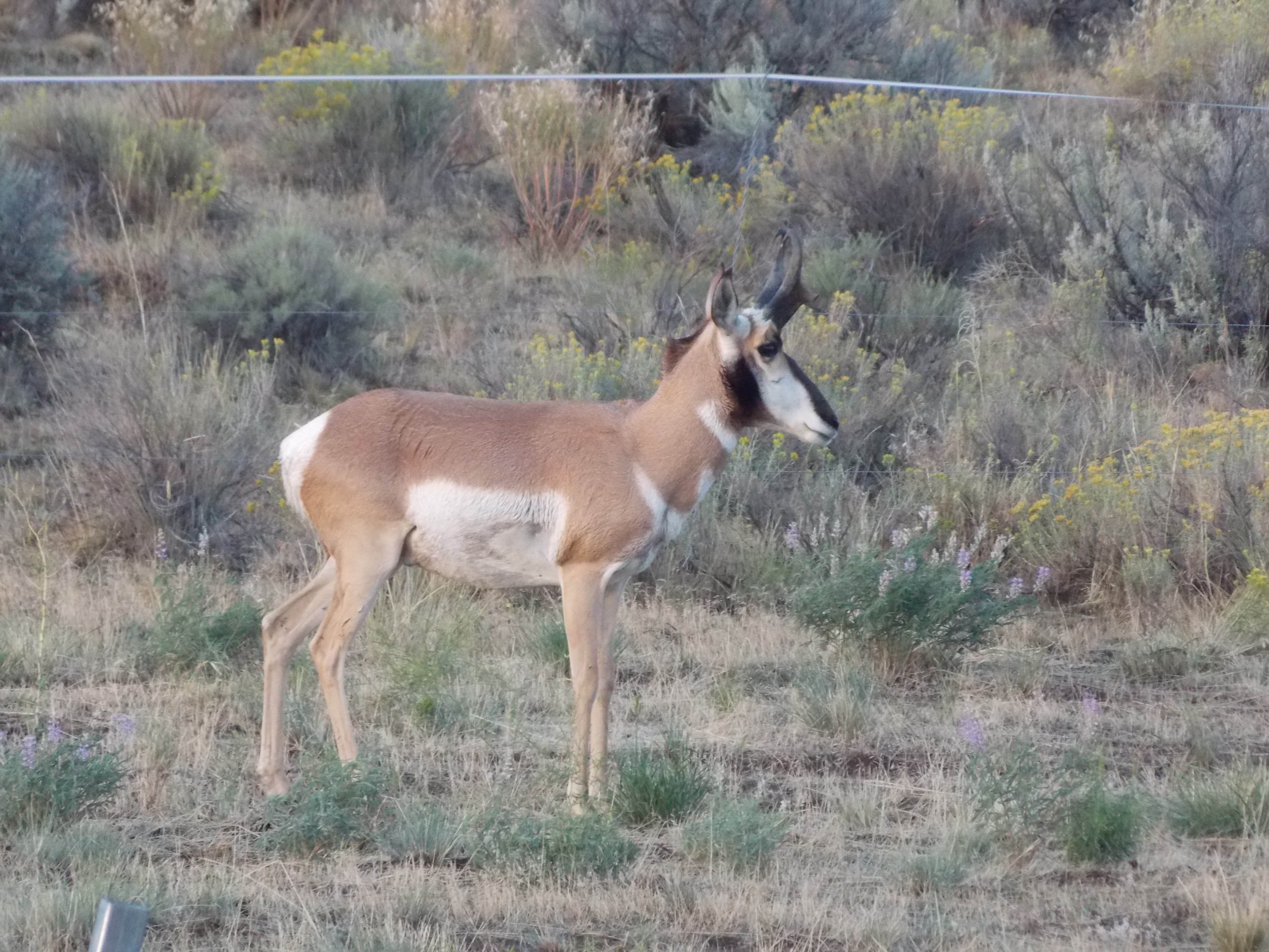 Camper-submitted photo at Captain Tuckers Quarters - Private Campground near Burns, OR