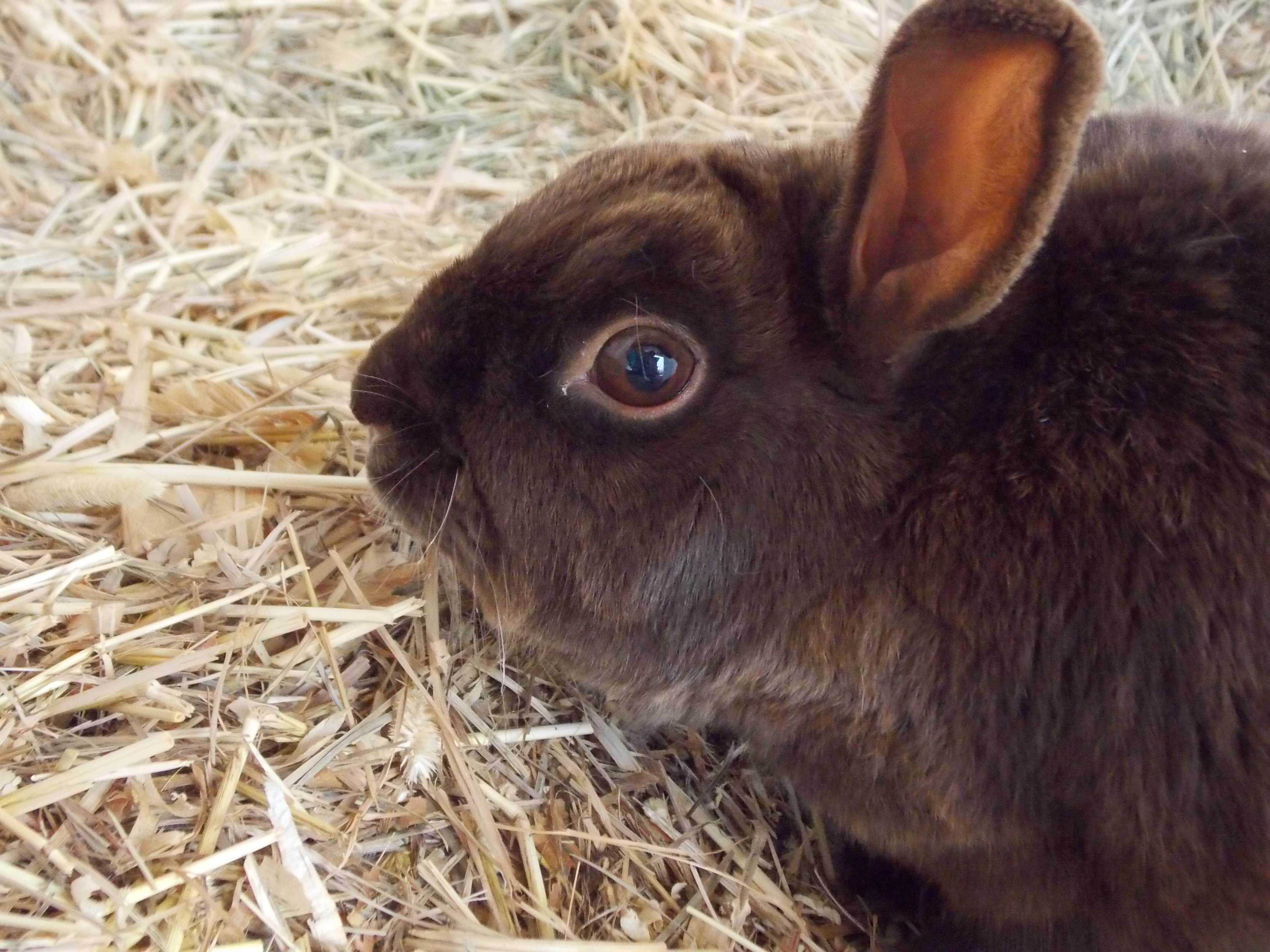 Camper-submitted photo at Captain Tuckers Quarters - Private Campground near Burns, OR