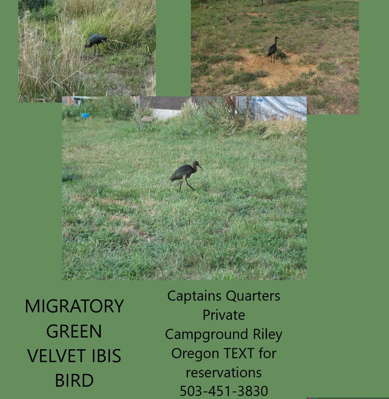 Camper-submitted photo at Captain Tuckers Quarters - Private Campground near Burns, OR