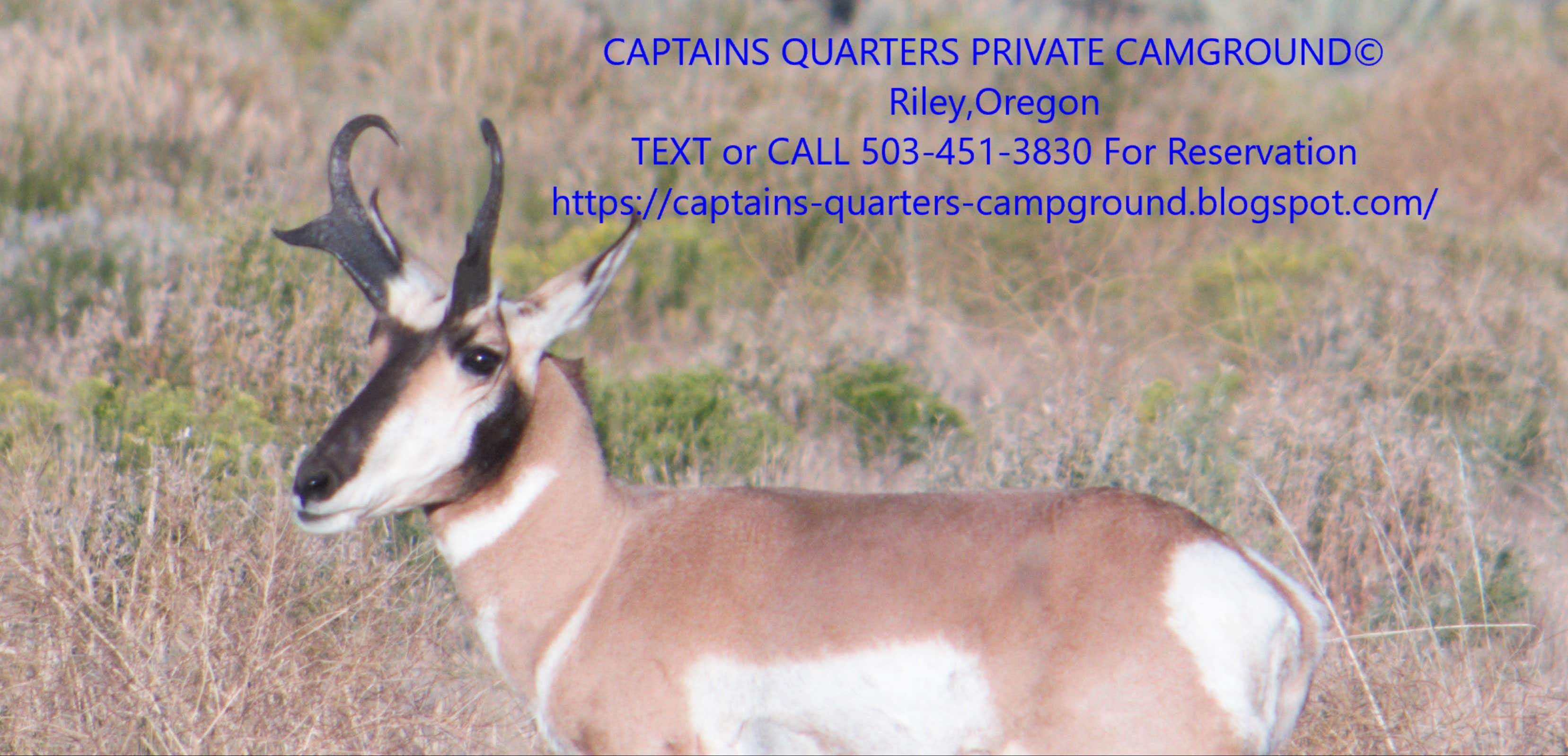 Camper-submitted photo at Captain Tuckers Quarters - Private Campground near Burns, OR