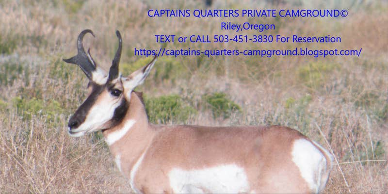 Camper submitted image from Captain Tuckers Quarters - Private Campground