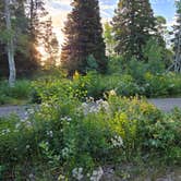 Review photo of Monte Cristo by Spencer S., August 2, 2025