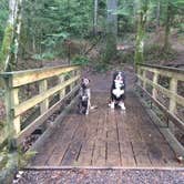 Review photo of Ainsworth State Park Campground by Sarah S., December 15, 2014