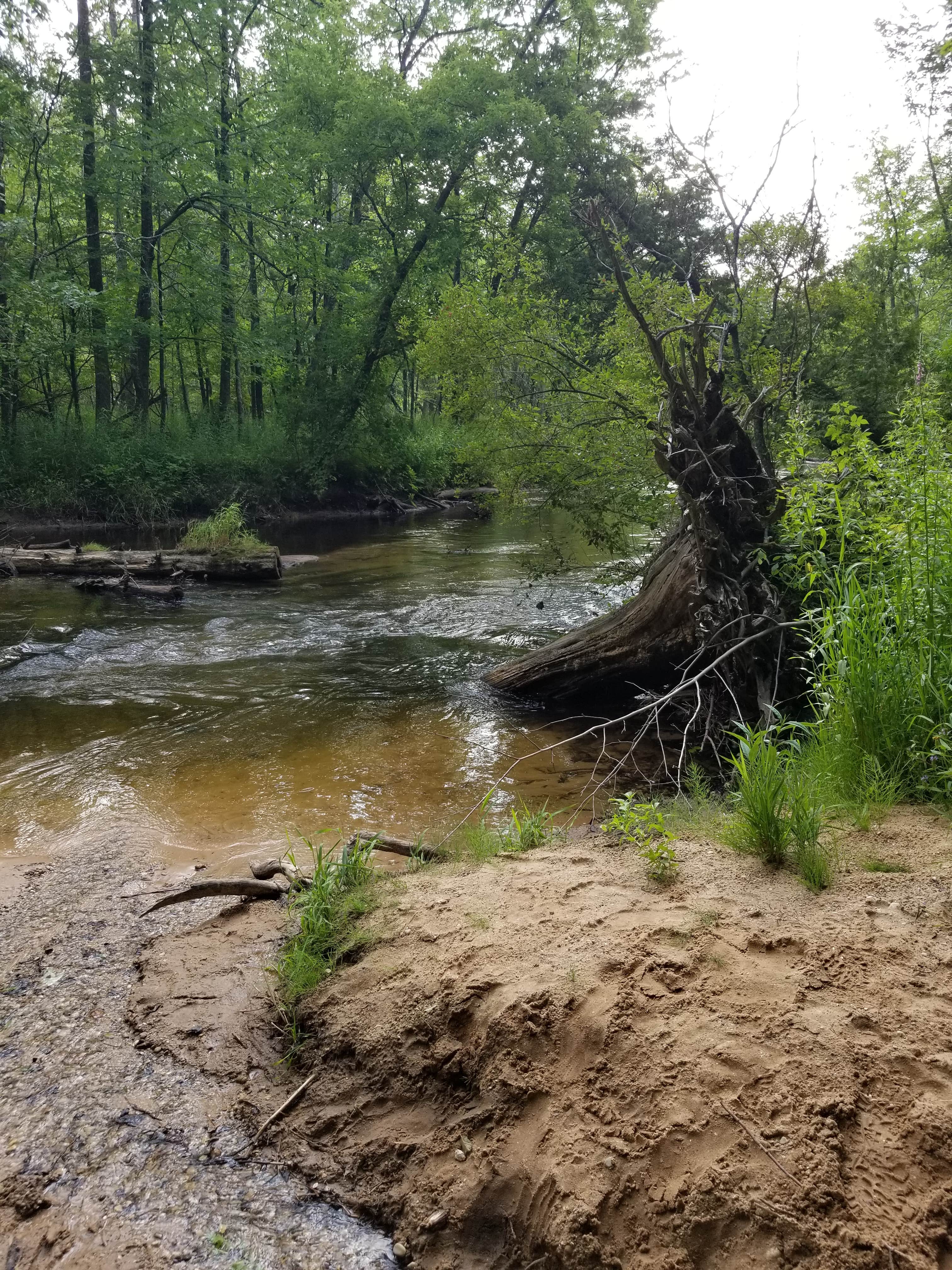 Camper submitted image from White Cloud County Park - 1