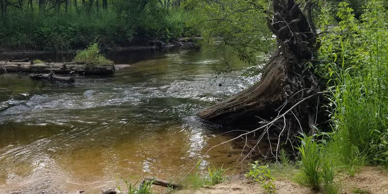 Camper submitted image from White Cloud County Park