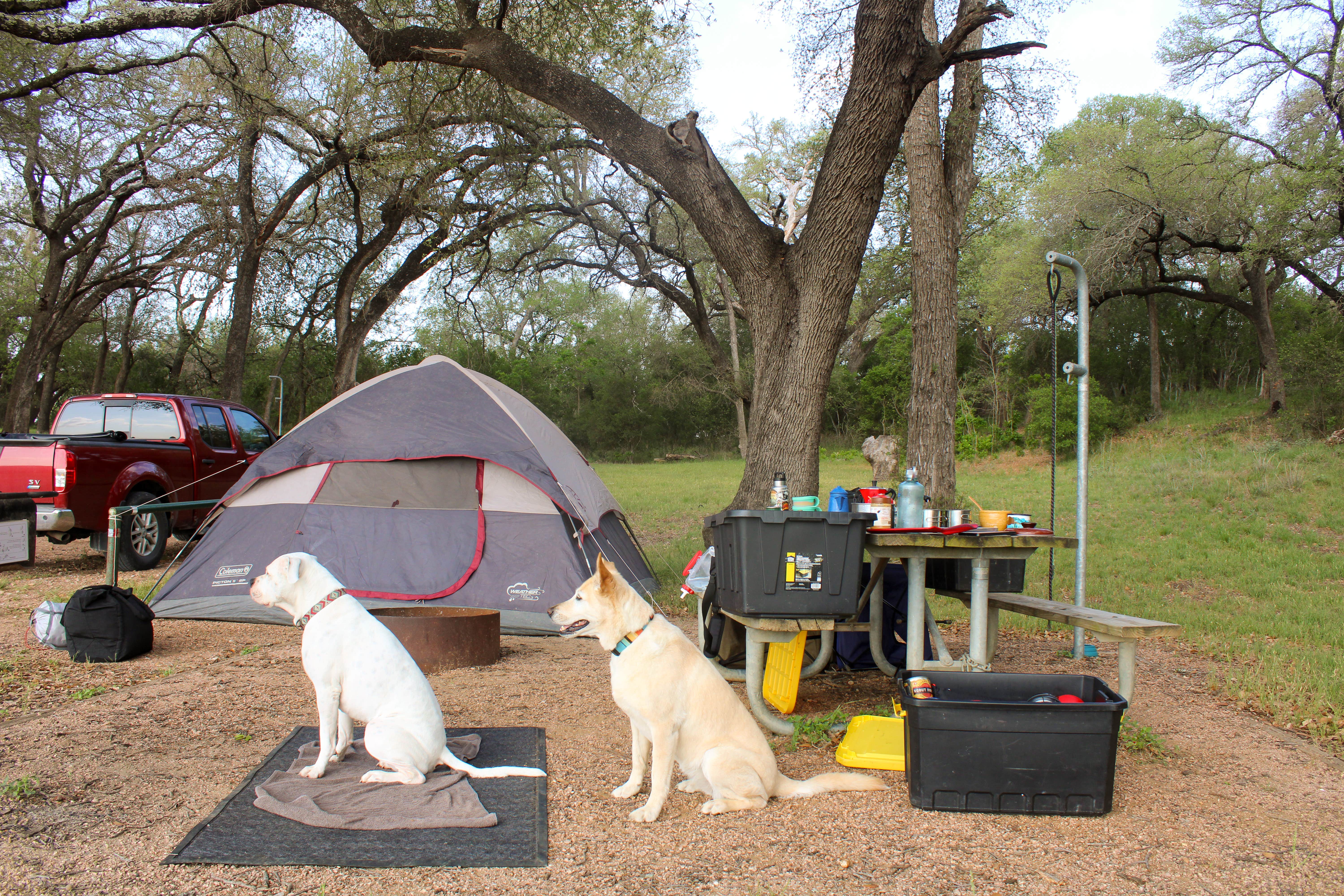 Camper-submitted photo at Turkey Bend near Leander, TX