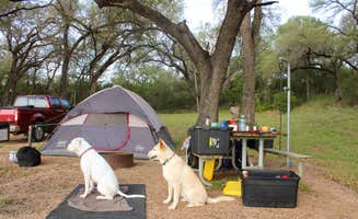 Morgan B.'s photo of camping with pets at Turkey Bend near Kingsland, TX
