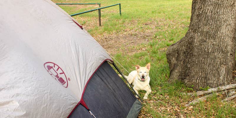 Camper submitted image from Turkey Bend