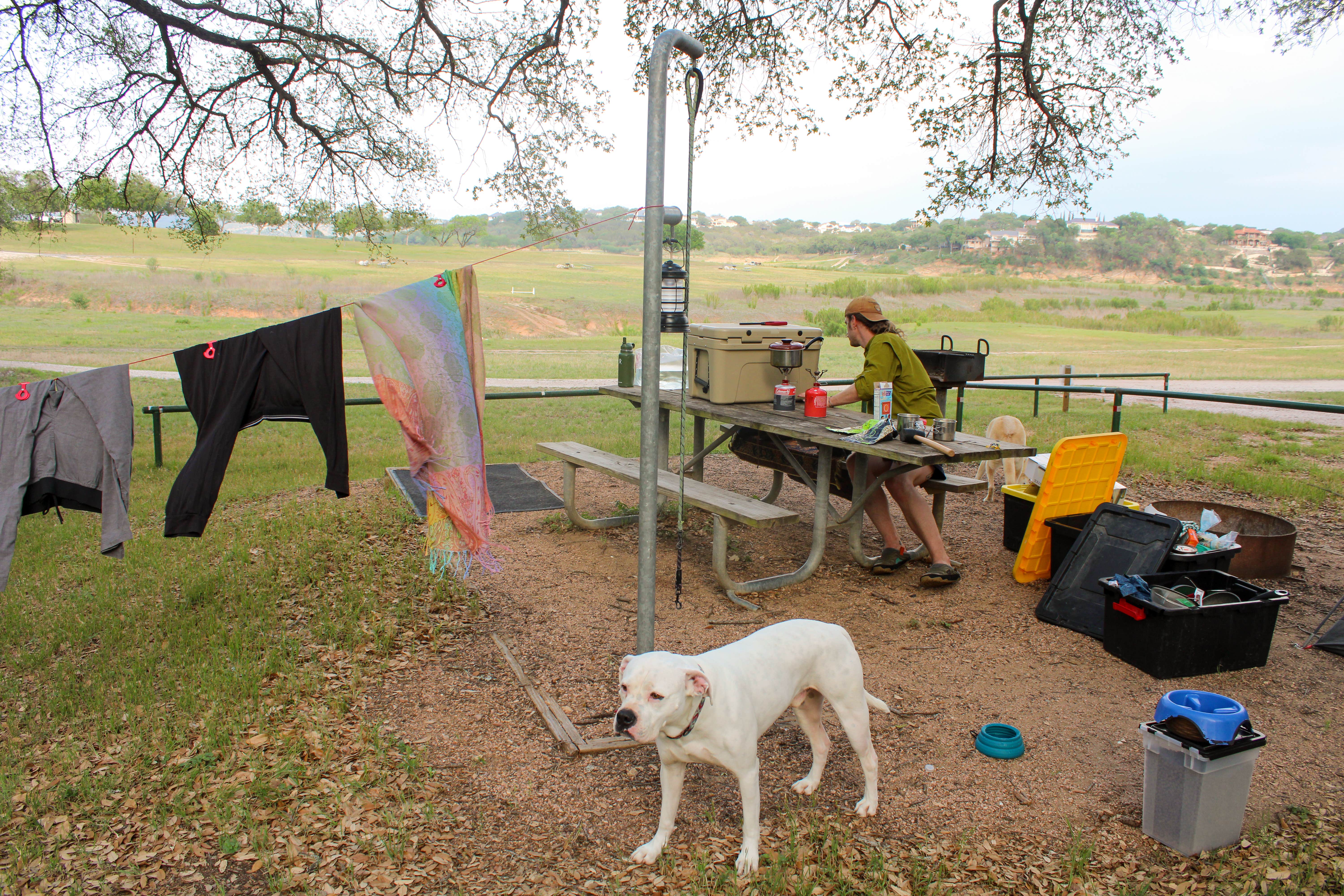 Camper-submitted photo at Turkey Bend near Leander, TX