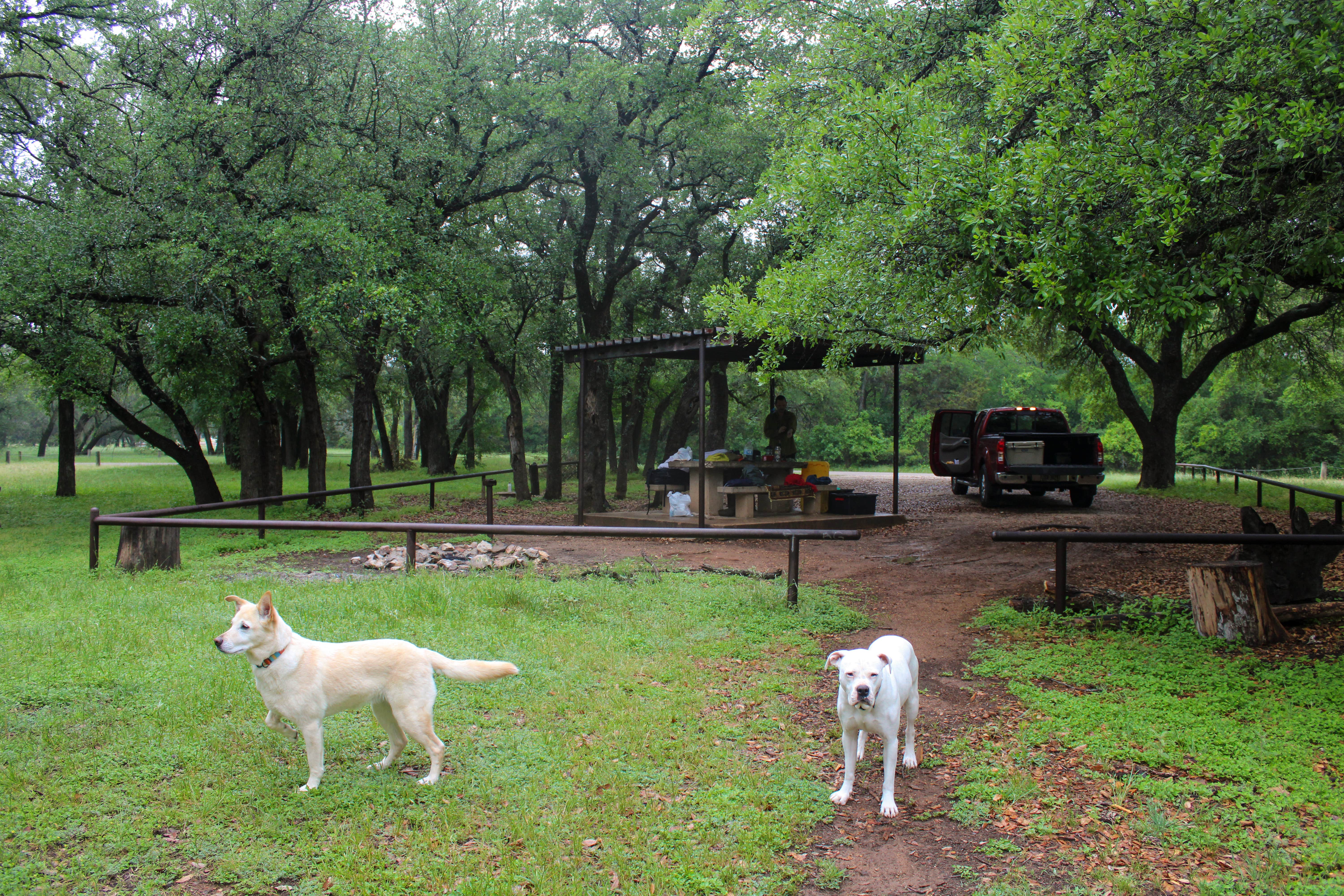 Camper-submitted photo at Steele Creek Park Campground near Whitney, TX
