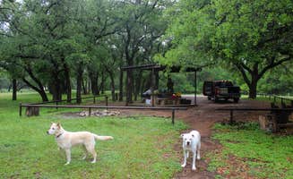 Morgan B.'s photo of camping with pets at Steele Creek Park Campground near Whitney Lake