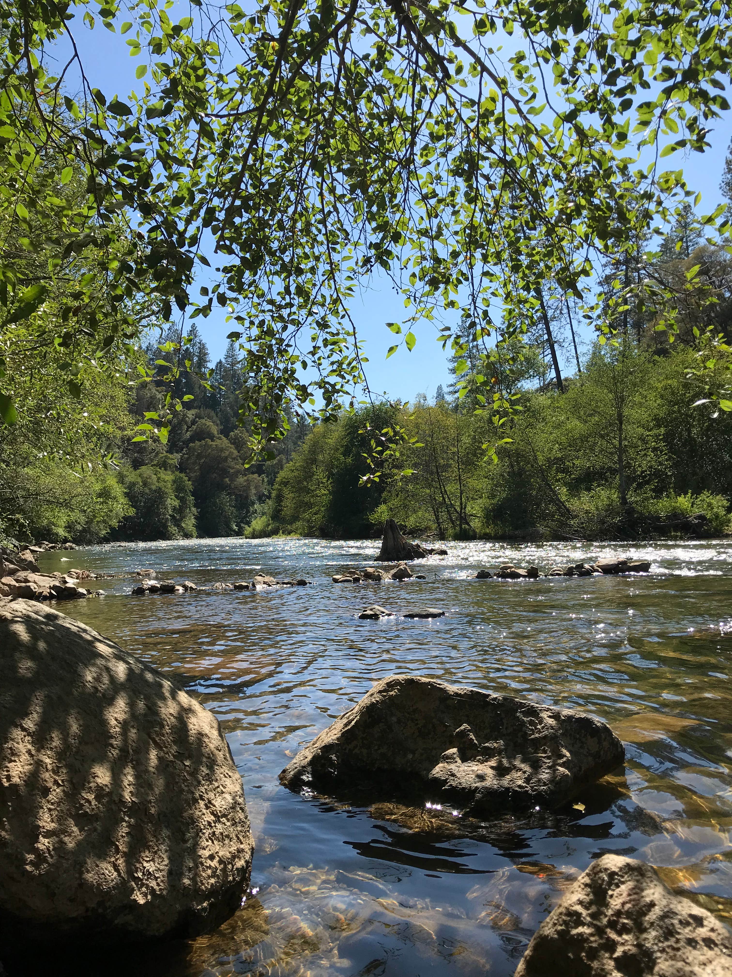 Camper submitted image from Bear River Park & Campground - 3