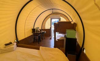 The Dyrt's photo at Cozy Heron Glamping near Mamers, NC