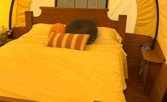 The Dyrt's photo at Cozy Heron Glamping near Lillington, NC