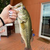 Review photo of Cedar Creek Resort & RV Park by Jason R., August 4, 2025