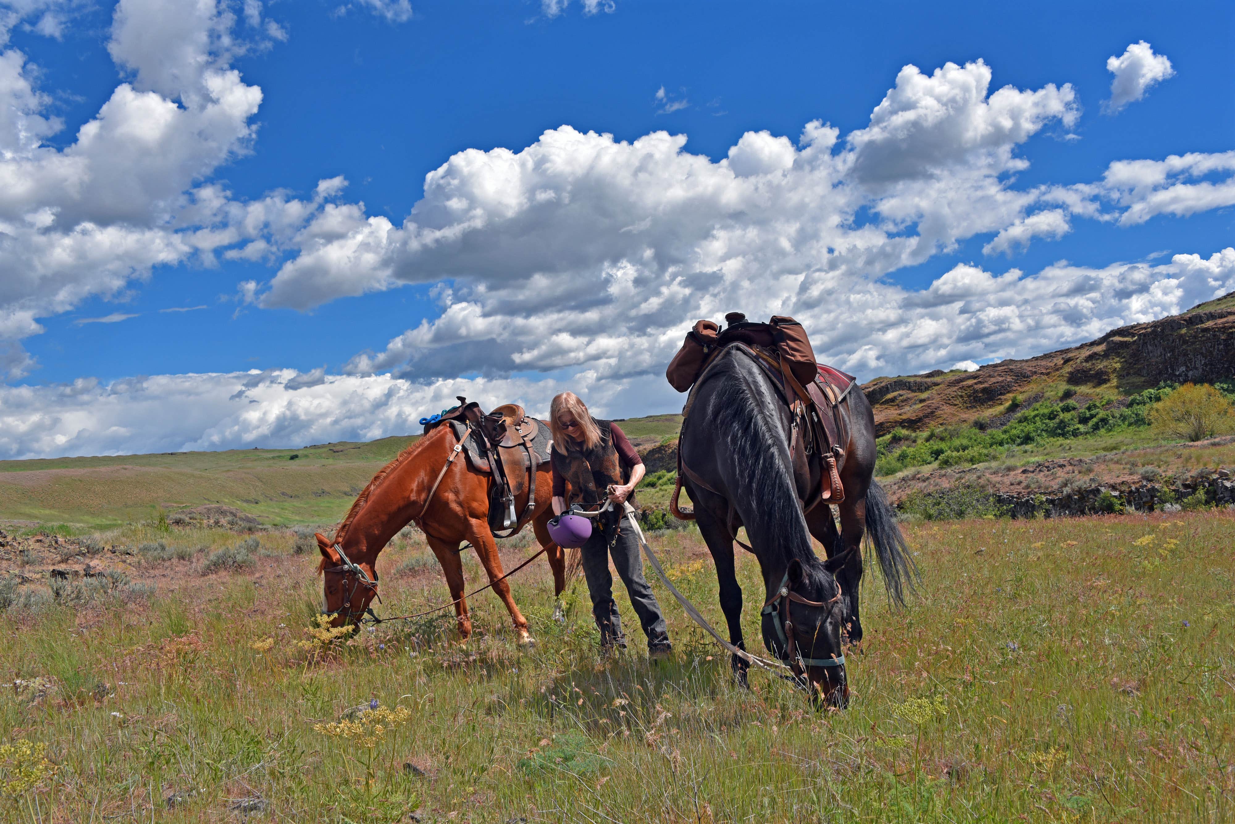 Camper submitted image from Escure Ranch / Rock Creek Recreation Area - 5