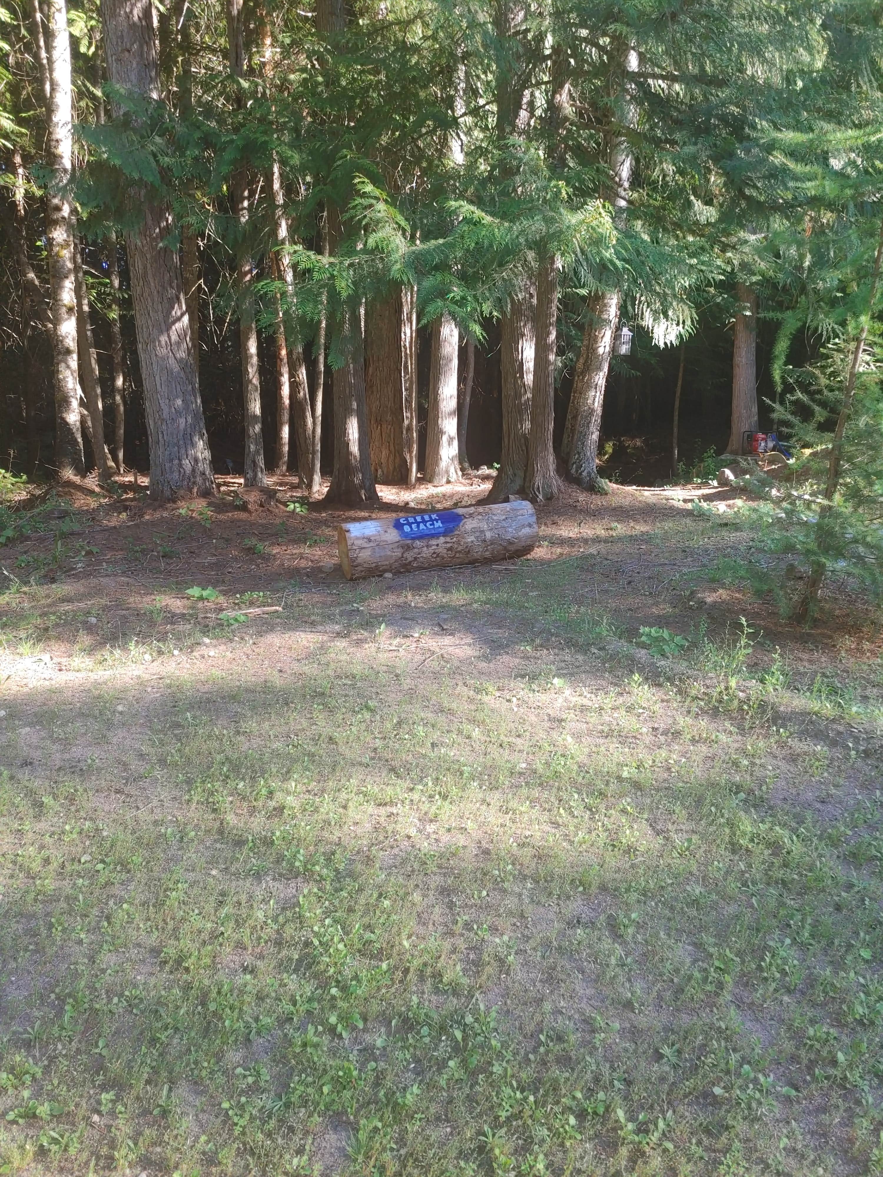 Camper-submitted photo at Trout Creek Base Camp near Bonners Ferry, ID