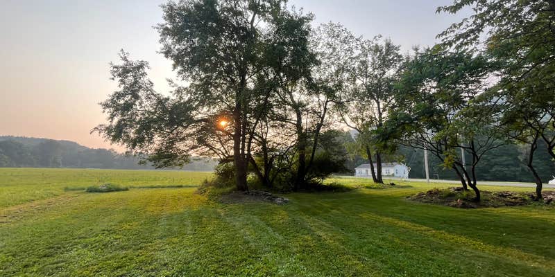 Camper submitted image from Tanglewood