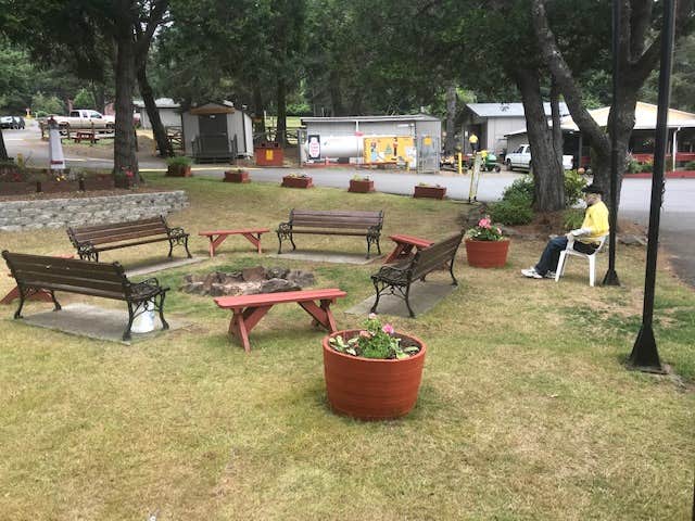 Camper submitted image from Lincoln City KOA - 4