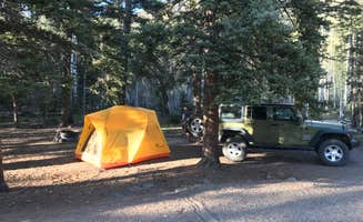 James M.'s photo at Cathedral Campground near South Fork, CO