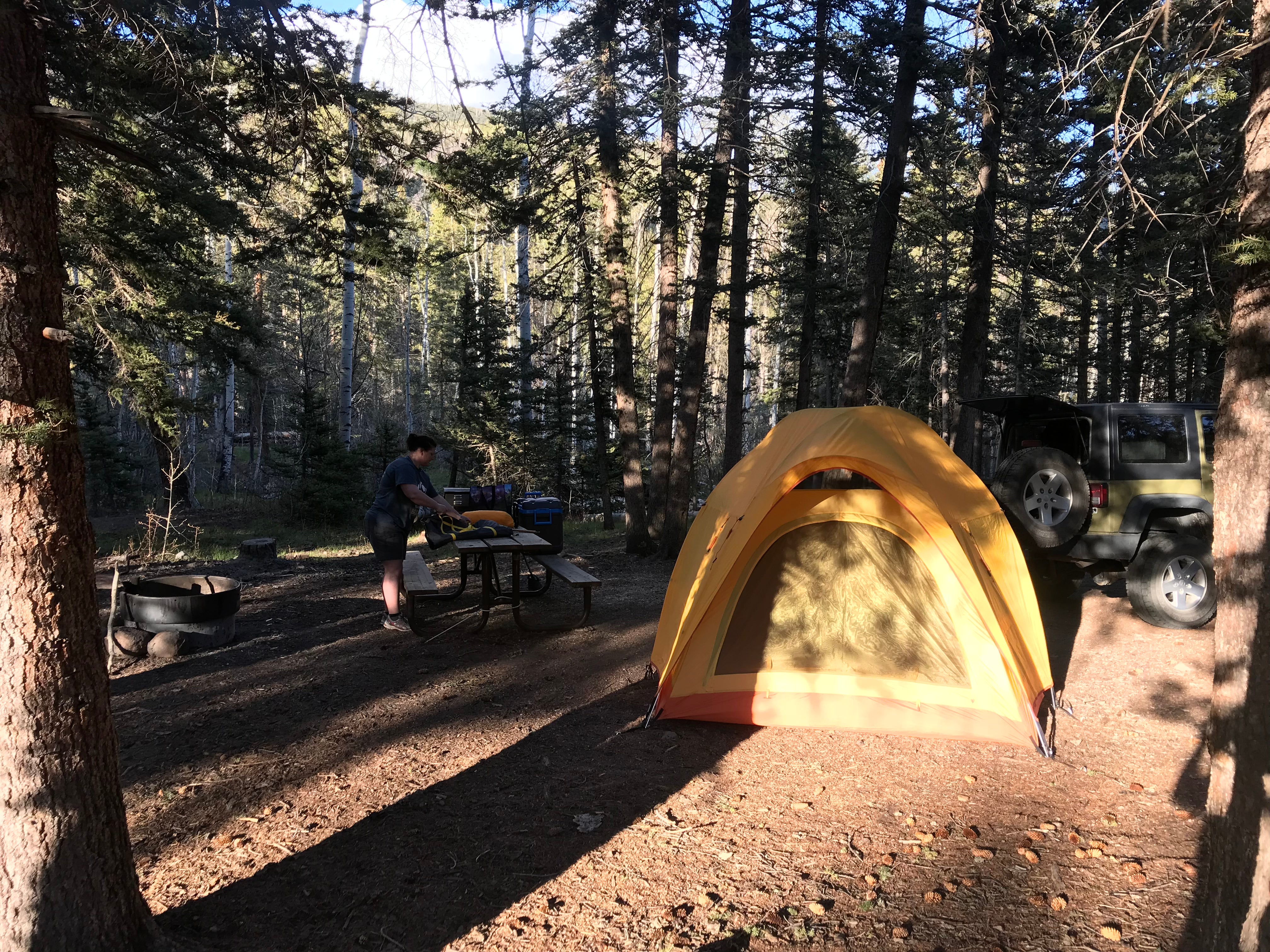 Camper submitted image from Cathedral Campground - 5
