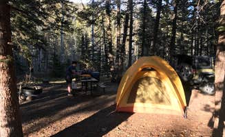 James M.'s photo at Cathedral Campground near South Fork, CO