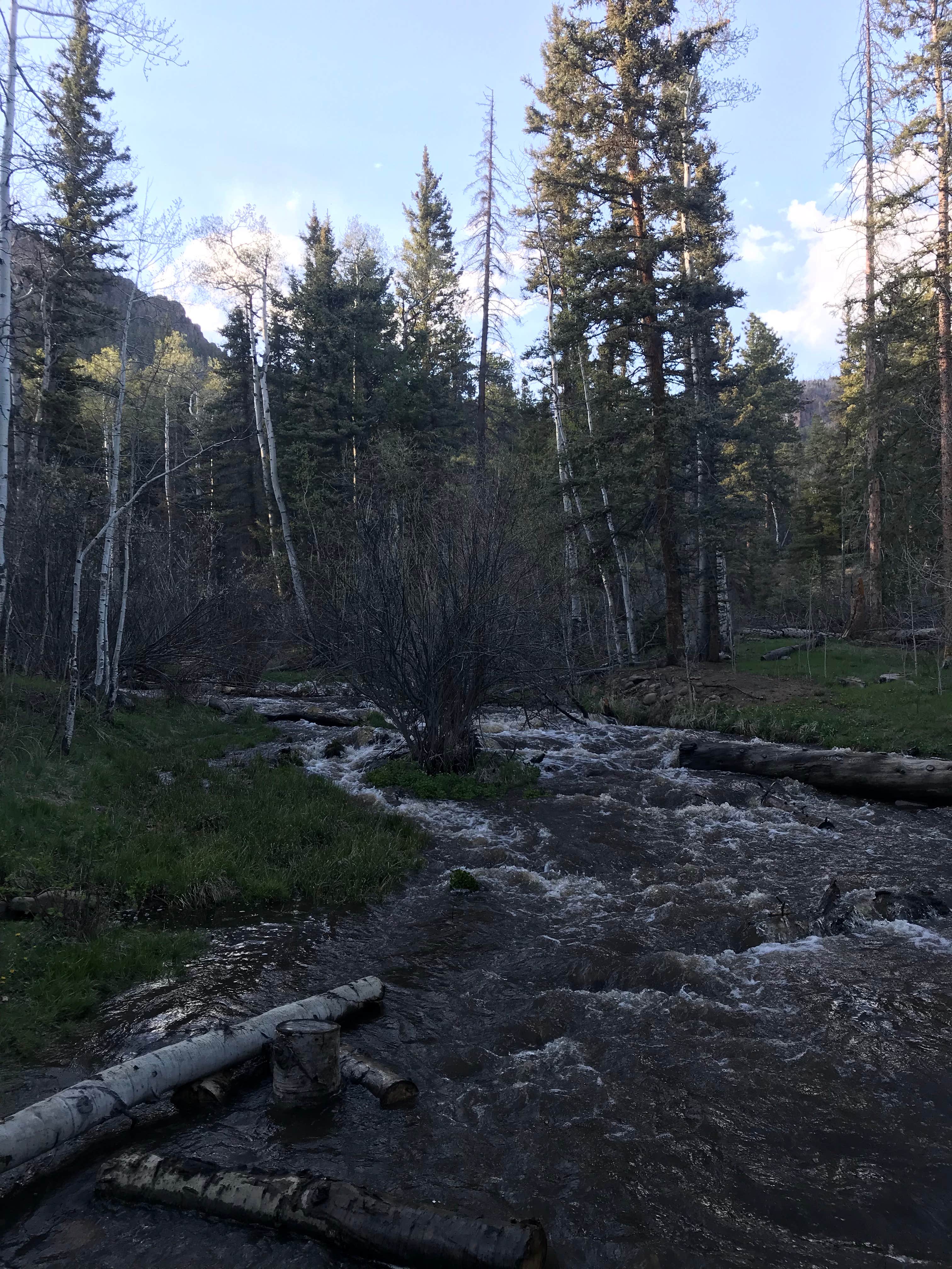 Camper submitted image from Cathedral Campground - 3