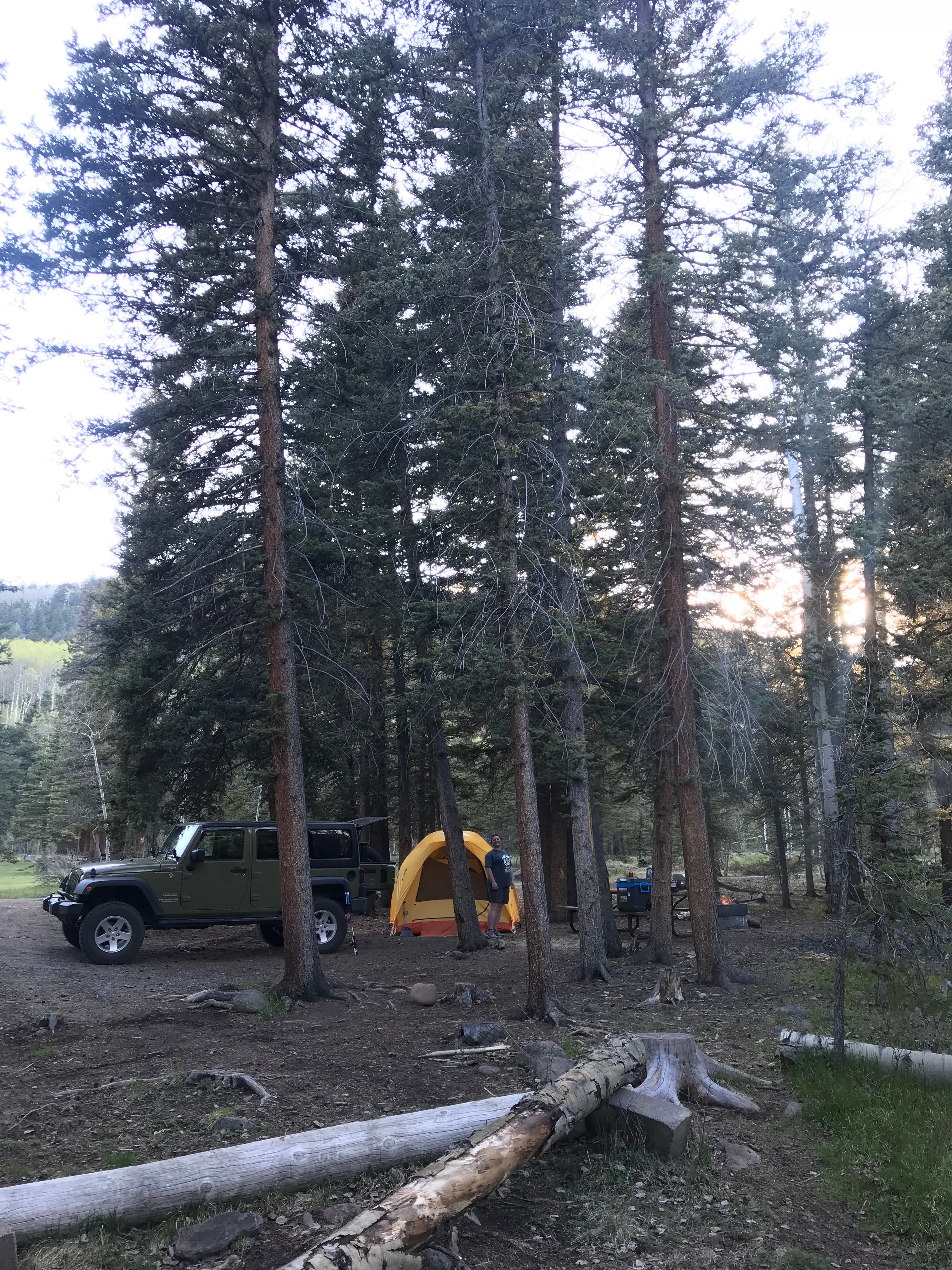 Camper submitted image from Cathedral Campground - 3