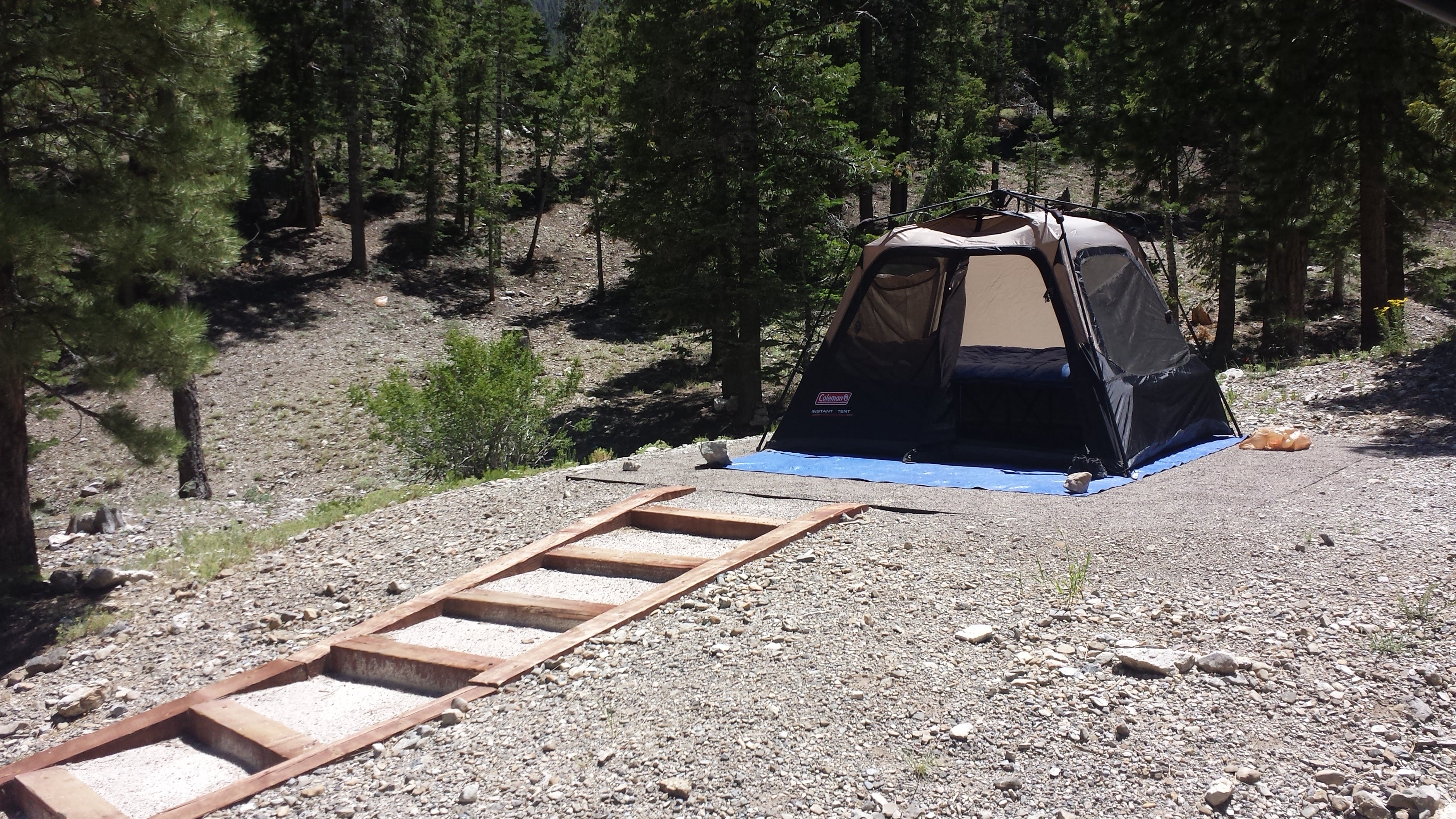 Camper submitted image from McWilliams Campground - 5