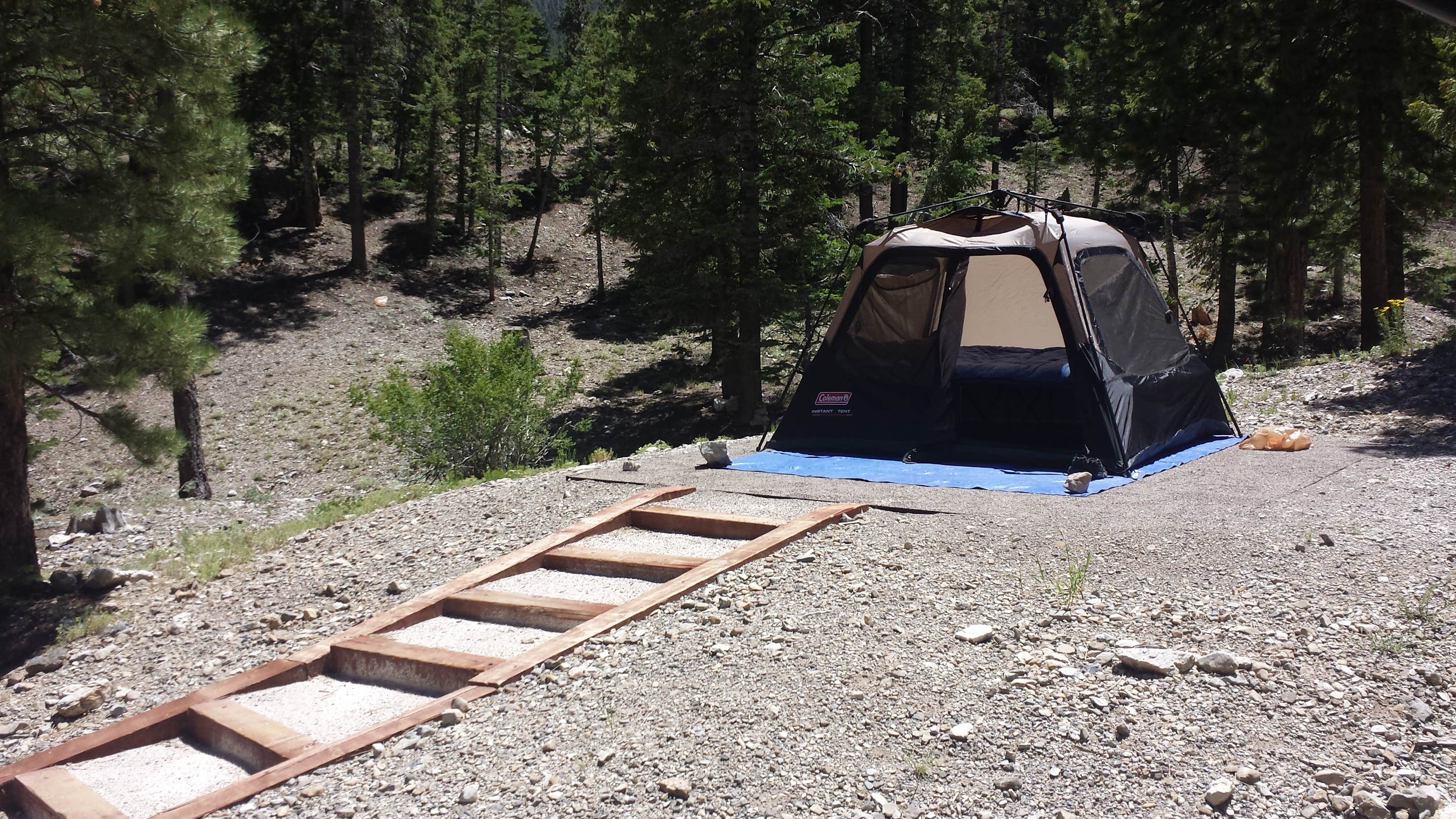 Camper submitted image from McWilliams Campground - 4