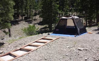 Colette K.'s photo at McWilliams Campground near Mount Charleston, NV
