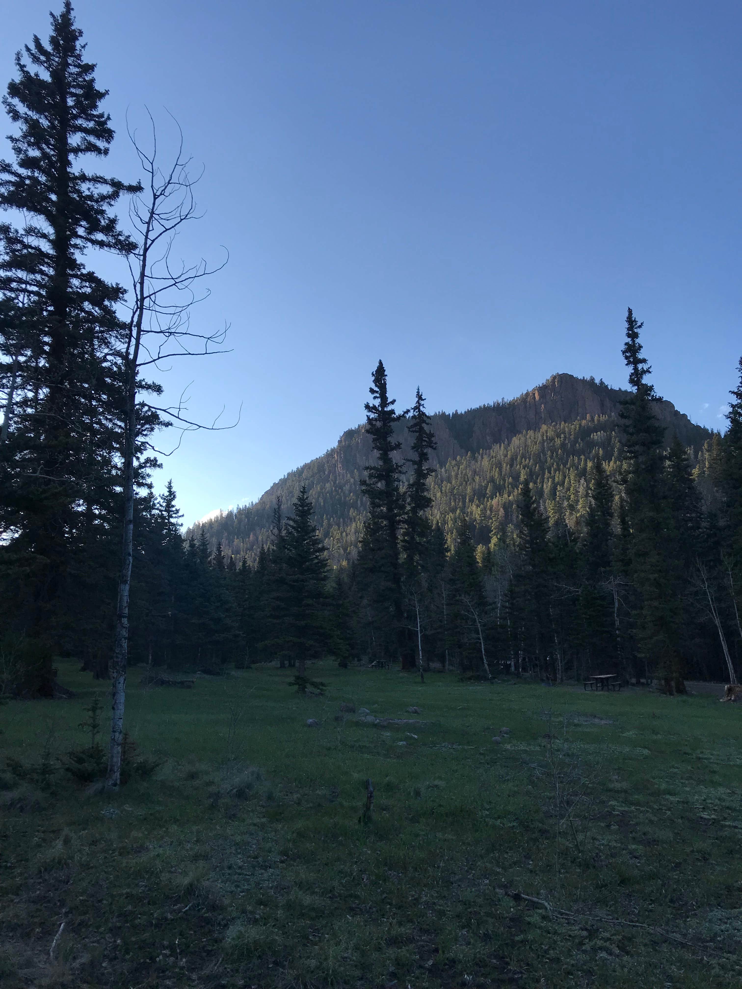 Nature