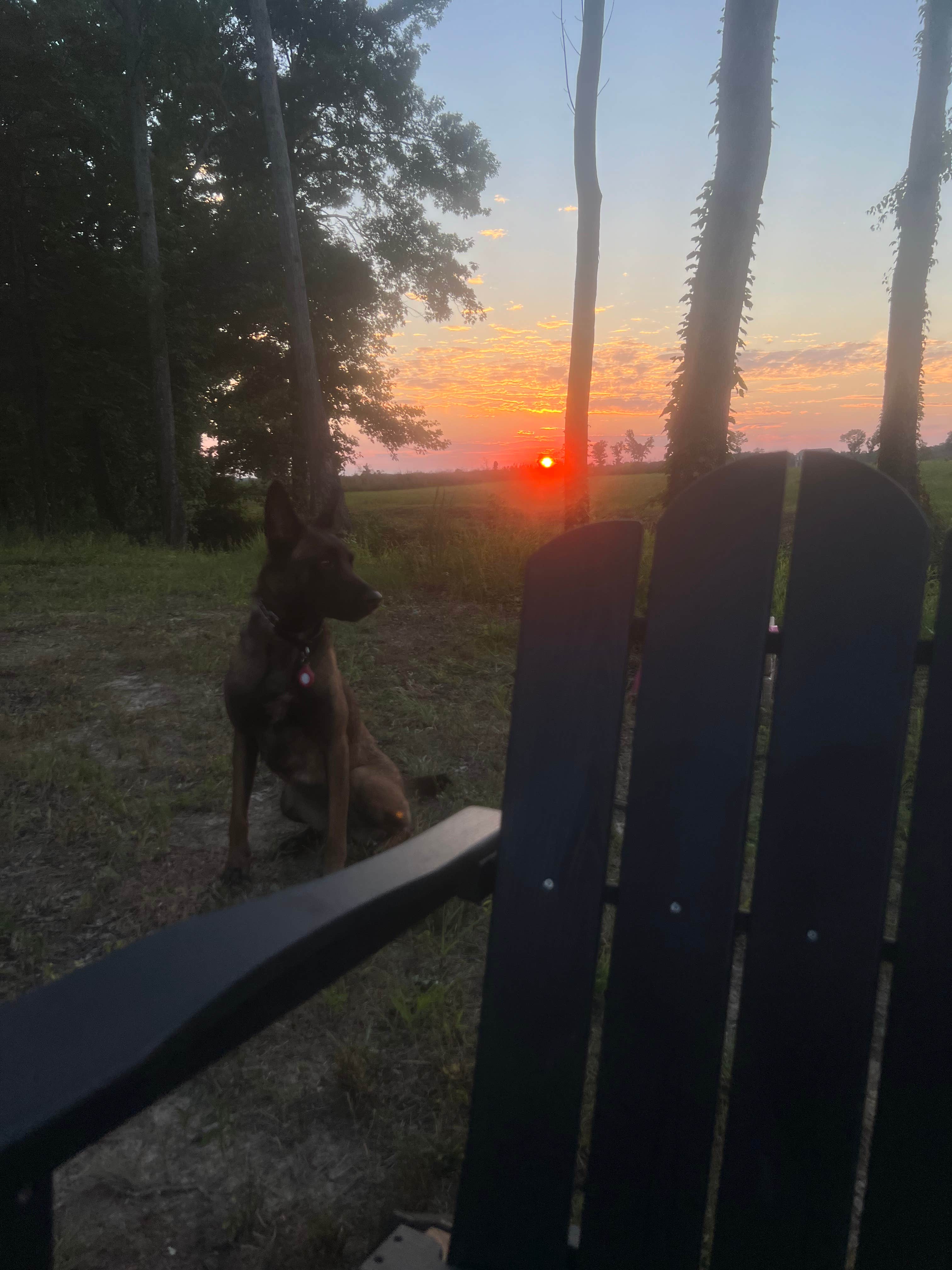 Gigi S.'s photo of camping with pets at Waterfront Wanderlust near Corinth, MS