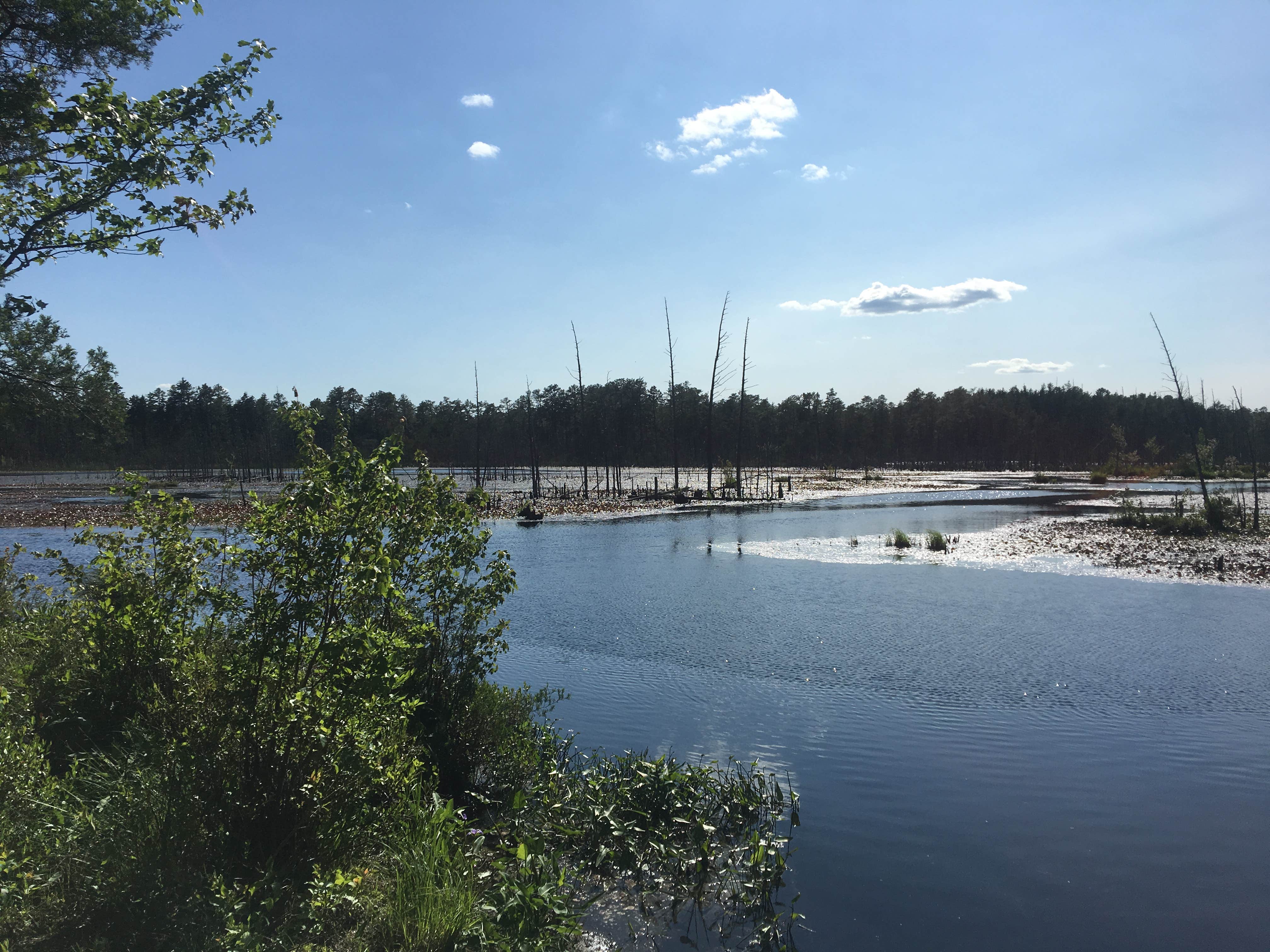 Camper-submitted photo at Atsion Family Camp — Wharton State Forest near Runnemede, NJ