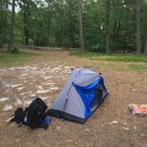 Review photo of Atsion Family Camp — Wharton State Forest by Paul G., July 31, 2019