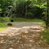 Review photo of White Mountain National Forest Wildwood Campground by Jean C., July 31, 2019