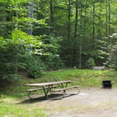 Review photo of White Mountain National Forest Wildwood Campground by Jean C., July 31, 2019