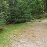 Review photo of White Mountain National Forest Wildwood Campground by Jean C., July 31, 2019