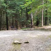Review photo of White Mountain National Forest Wildwood Campground by Jean C., July 31, 2019