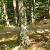 Review photo of White Mountain National Forest Wildwood Campground by Jean C., July 31, 2019