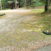 Review photo of White Mountain National Forest Wildwood Campground by Jean C., July 31, 2019