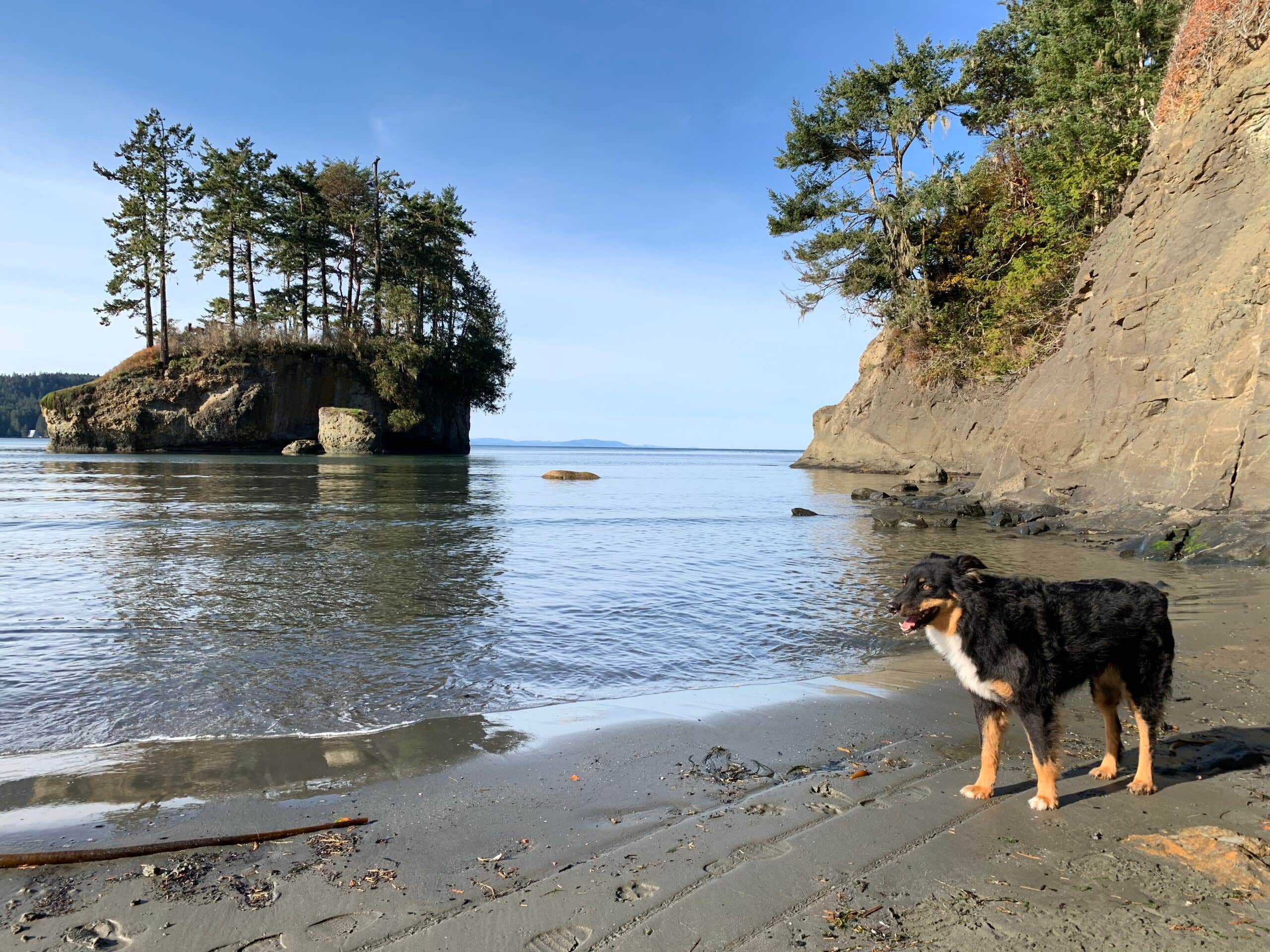 Michael B.'s photo of camping with pets at RV@Olympic near Port Angeles, WA