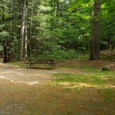 Review photo of White Mountain National Forest Wildwood Campground by Jean C., July 31, 2019