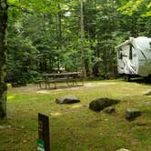 Review photo of White Mountain National Forest Wildwood Campground by Jean C., July 31, 2019