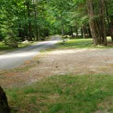 Review photo of White Mountain National Forest Wildwood Campground by Jean C., July 31, 2019