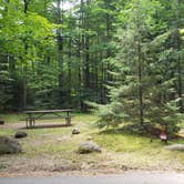 Review photo of White Mountain National Forest Wildwood Campground by Jean C., July 31, 2019