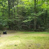 Review photo of White Mountain National Forest Wildwood Campground by Jean C., July 31, 2019